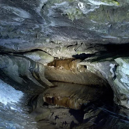 Trivia House Vandrarhem