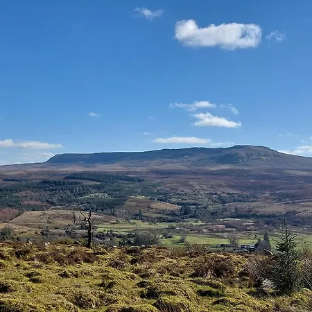 Vandrarhem Trivia House Swanlinbar