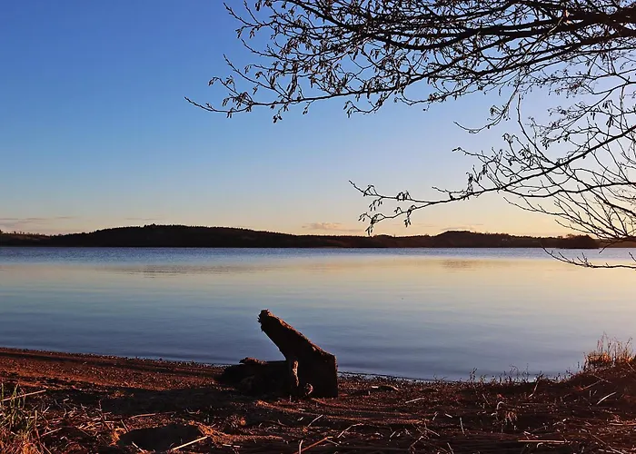 Hostel Trivia House *