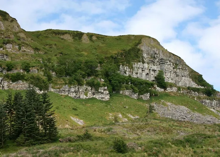 Trivia House Hostel *